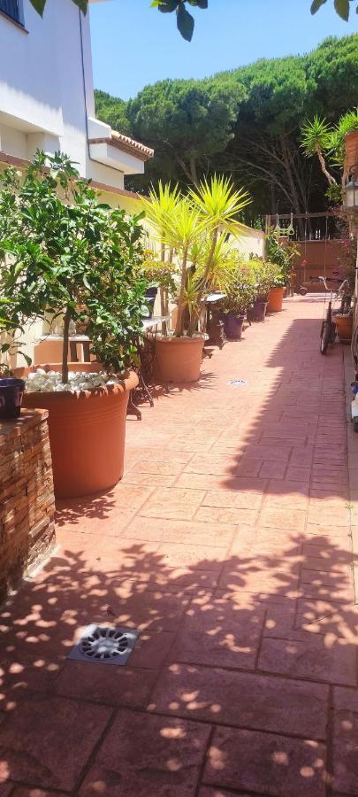 Chalet Con Capacidad Para 8 Personas Chiclana de la Frontera Exterior photo